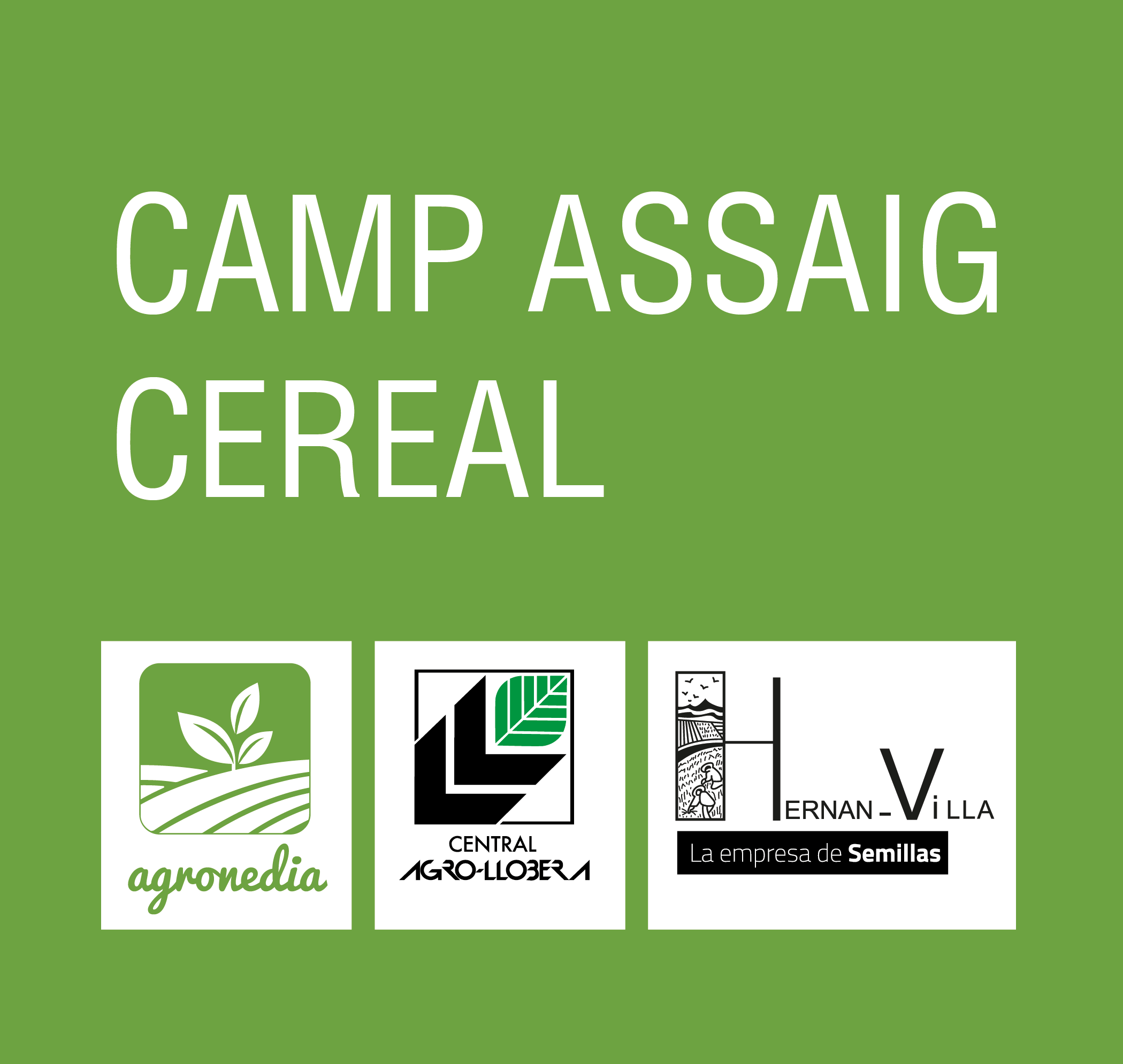 CAMP ASSAIG AGRONEDIA-17