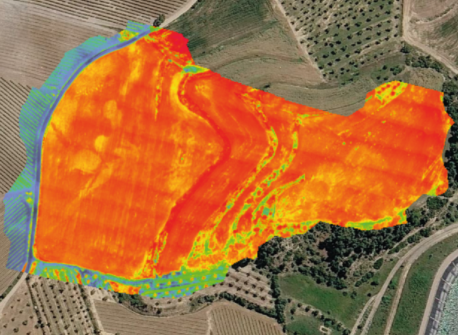 ndvi